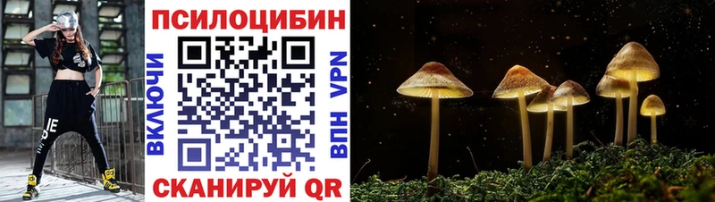 кракен как зайти  Якутск  Галлюциногенные грибы ЛСД 